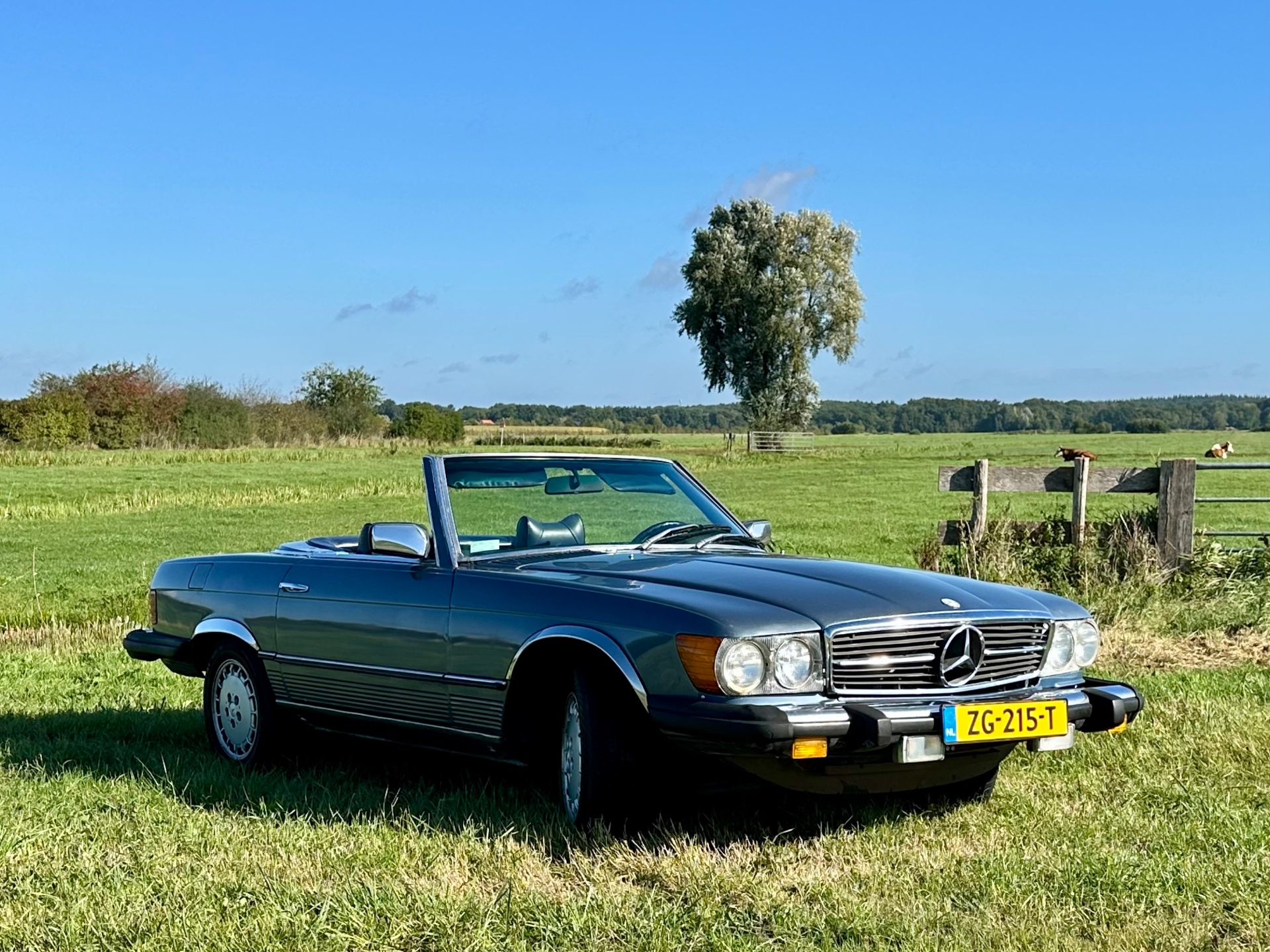 Mercedes 450 SL-klasse 1979